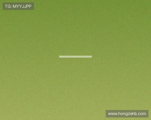 弗拉门戈核心罗西表现出色仍未入选阿根廷国家队静候召唤